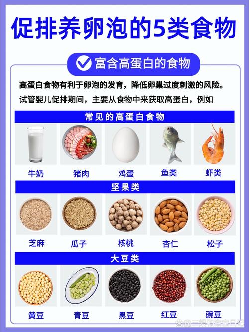 促排期间饮食