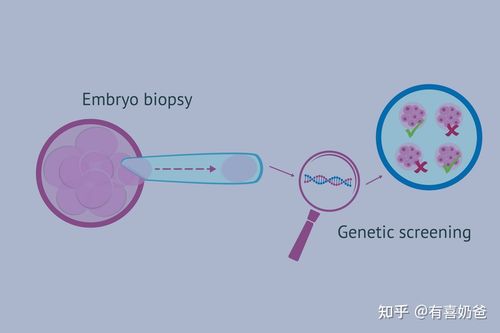 试管婴儿可靠性