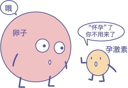  抑制排卵