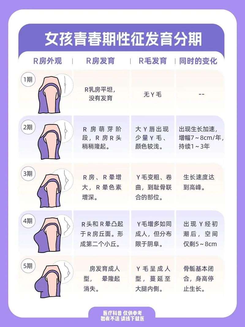 发育进程