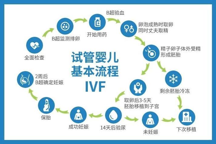 辅助生育方案