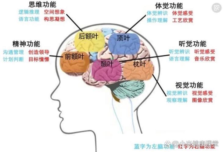 功能