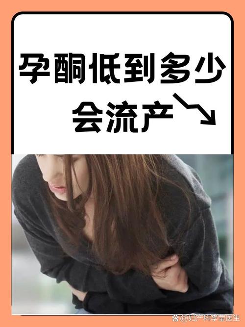 妊娠维持