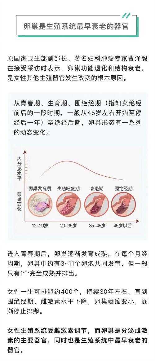 生殖影响