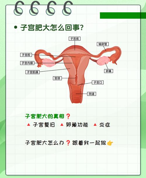 宫腔容积小