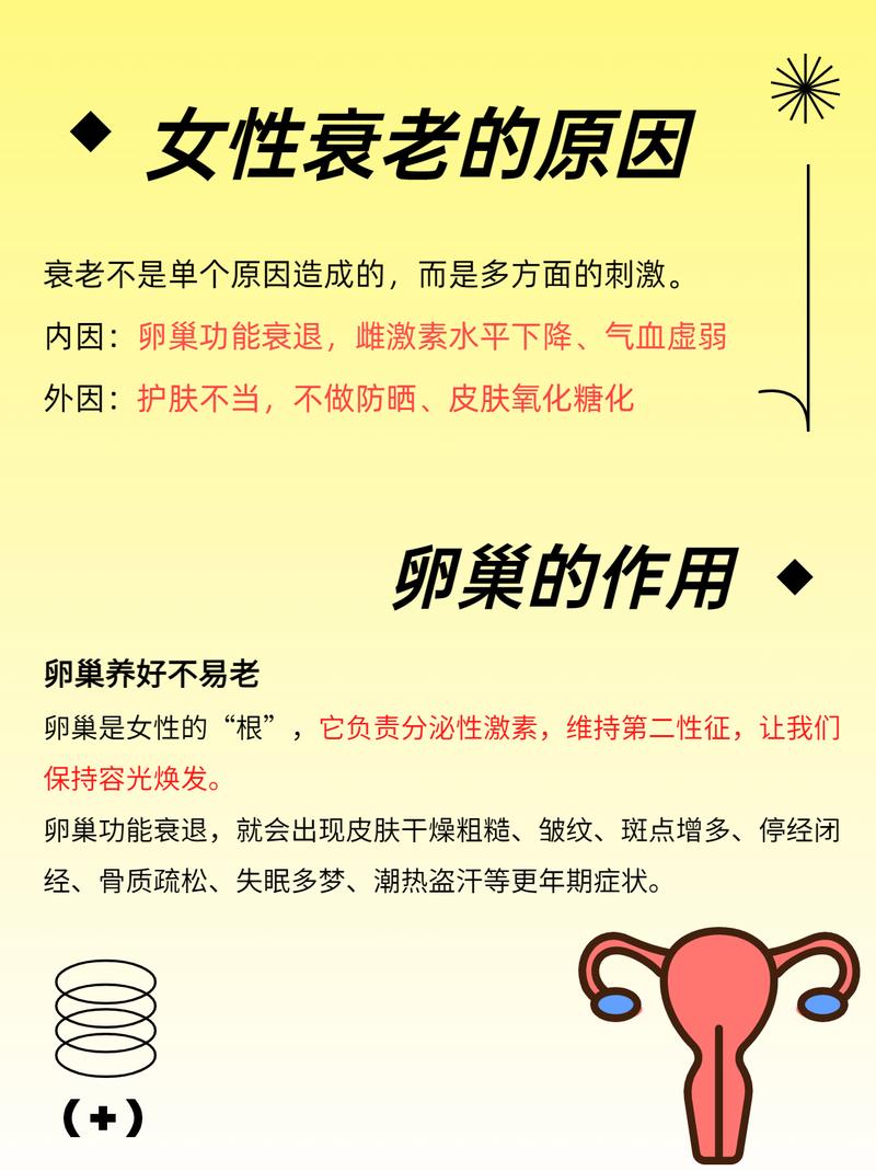  卵巢保养
