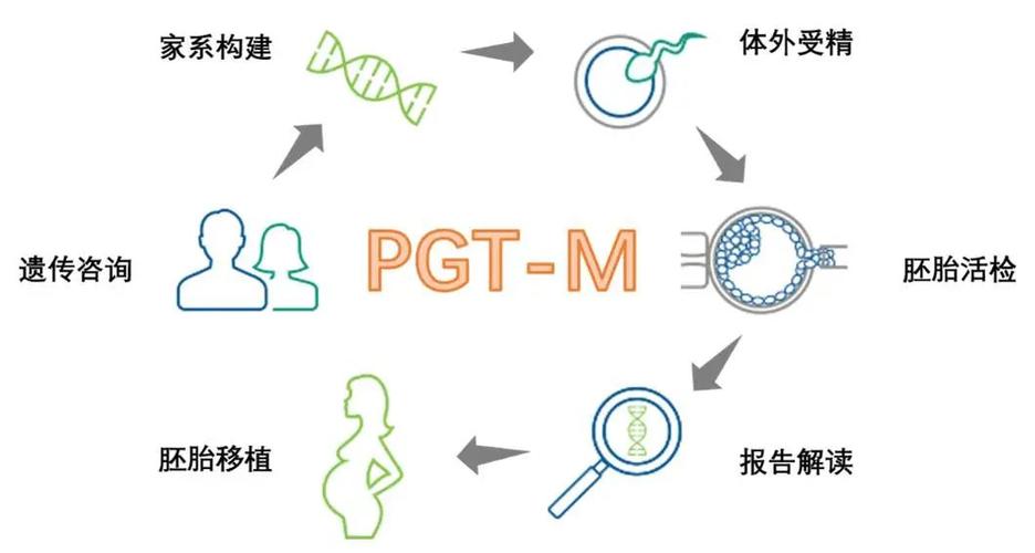 PGT - M