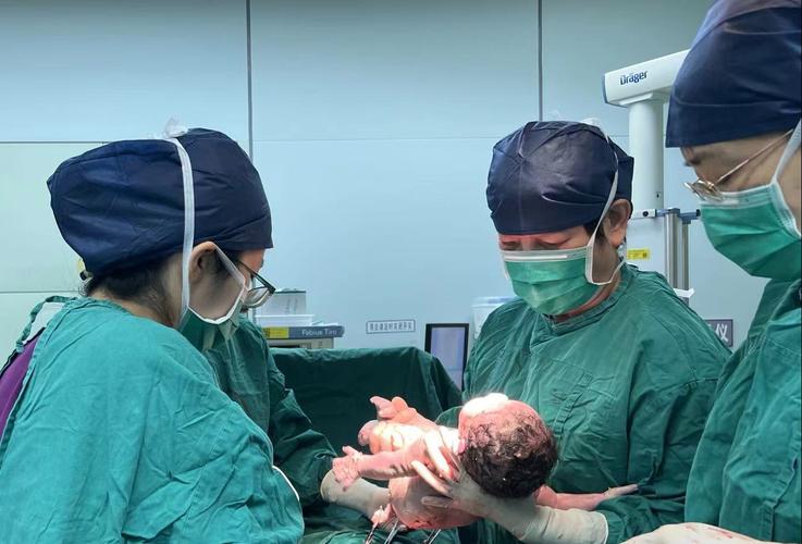 全球首例试管婴儿