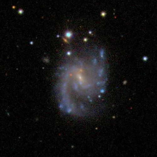  莫斯科Ngc