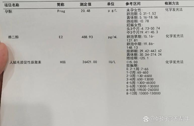 6周胎心低