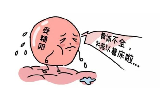 黄体不足