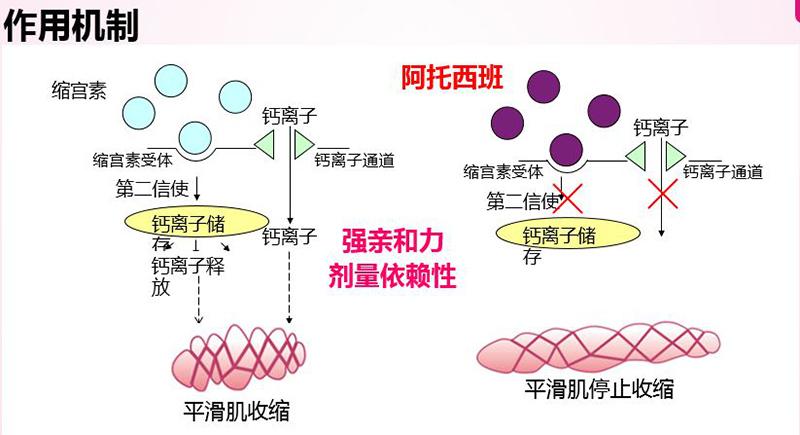 宫缩抑制
