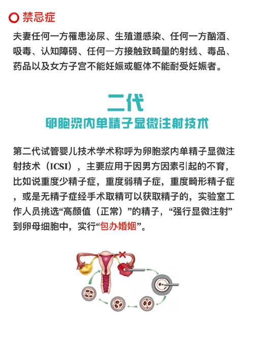 4代试管婴儿