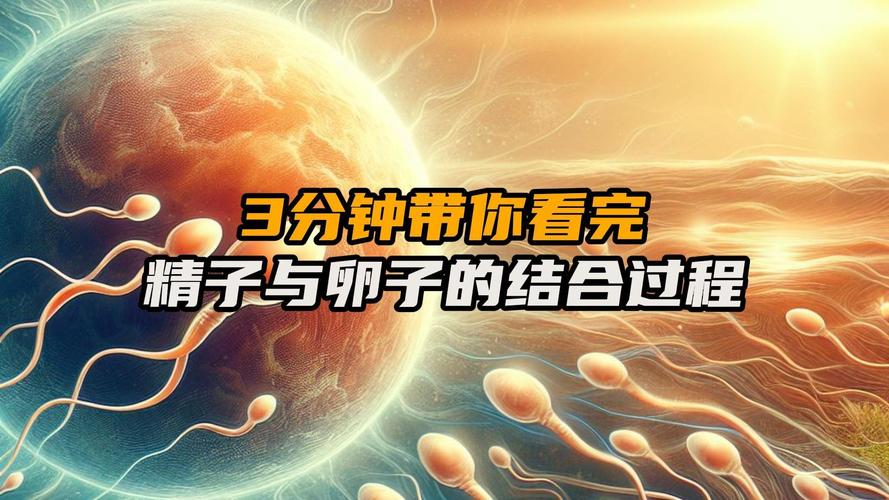 卵子融合