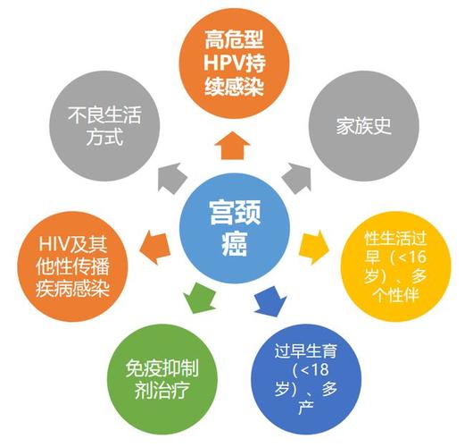 宫颈因素