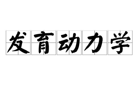发育动力学