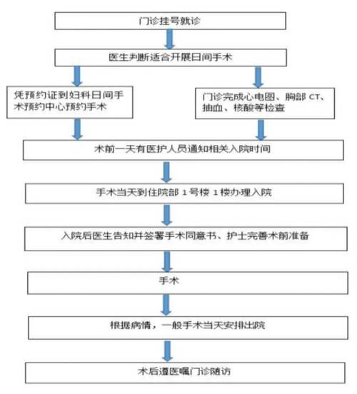 女生手术流程