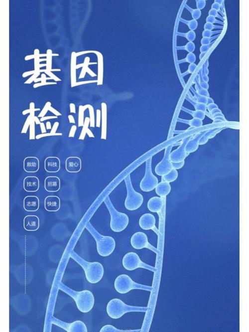 最优基因