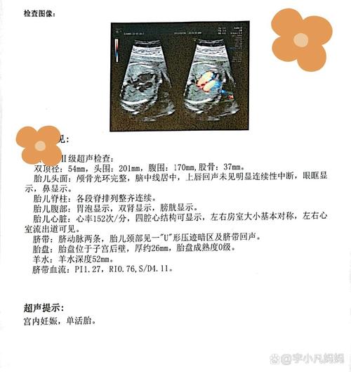 孕期健康
描述: 本文详细解析了试管婴儿22周B超结果胎儿偏小的原因，包括母体、胎儿、胎盘脐带等因素，同时给出了加强营养、治疗疾病、密切监测及心理调节等应对措施，助准妈妈安心度过孕期。