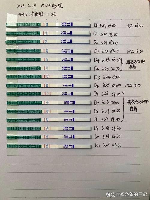 移植成功征兆