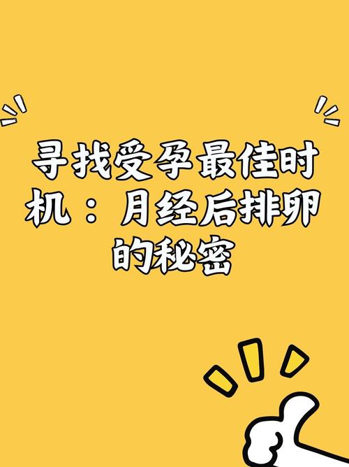  最佳受孕时机