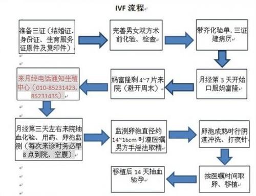 试管婴儿隔离