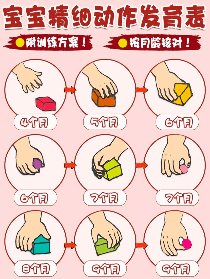 精细动作
