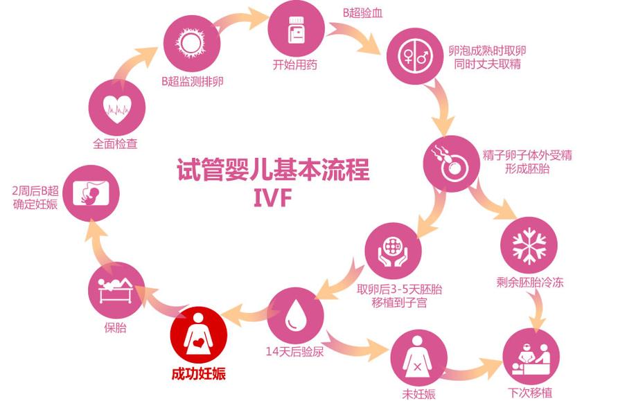  试管婴儿
【描述】：本文详细解读了柬埔寨三代试管的费用概况，并分析了影响费用的相关因素，帮助您全面了解柬埔寨三代试管的花费情况。