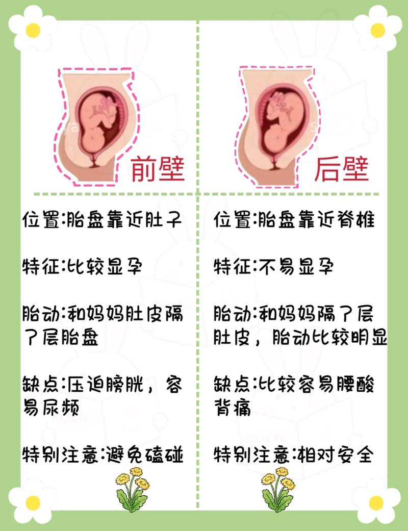 怀孕前