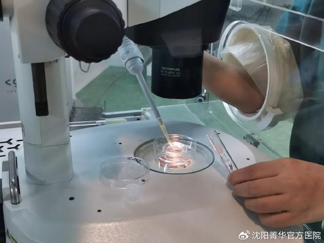  菁华试管
