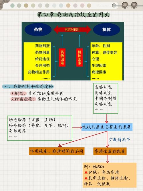 药物因素