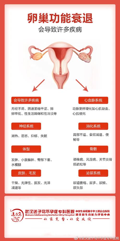 卵巢低反应