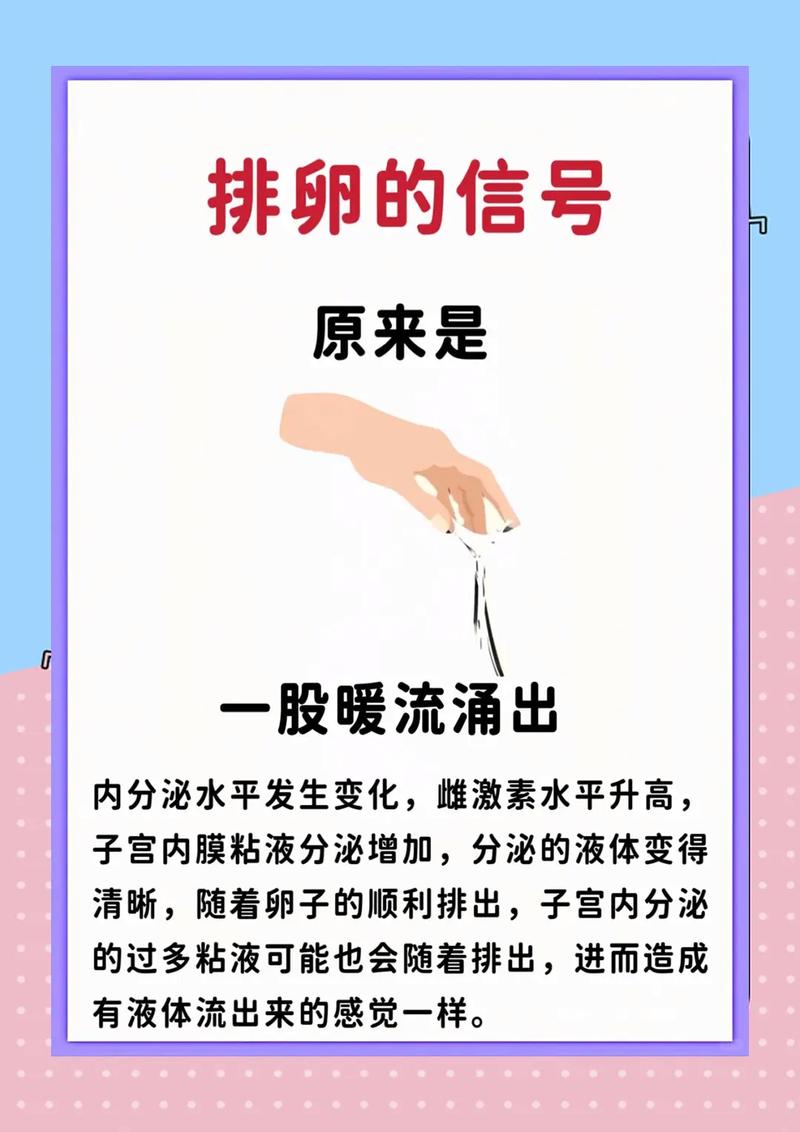 排卵问题