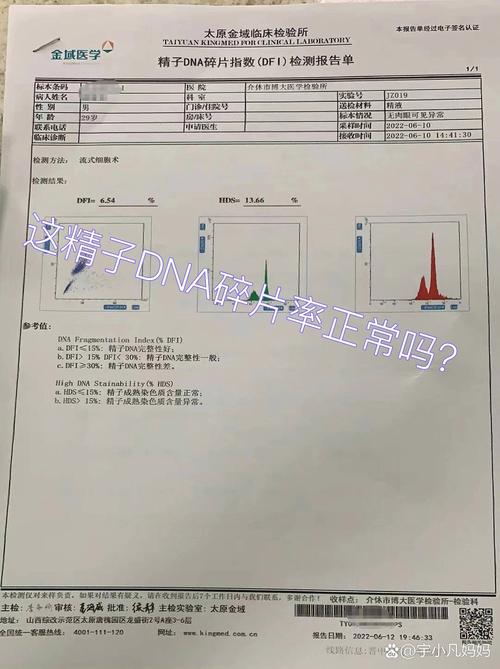 DNA碎片率