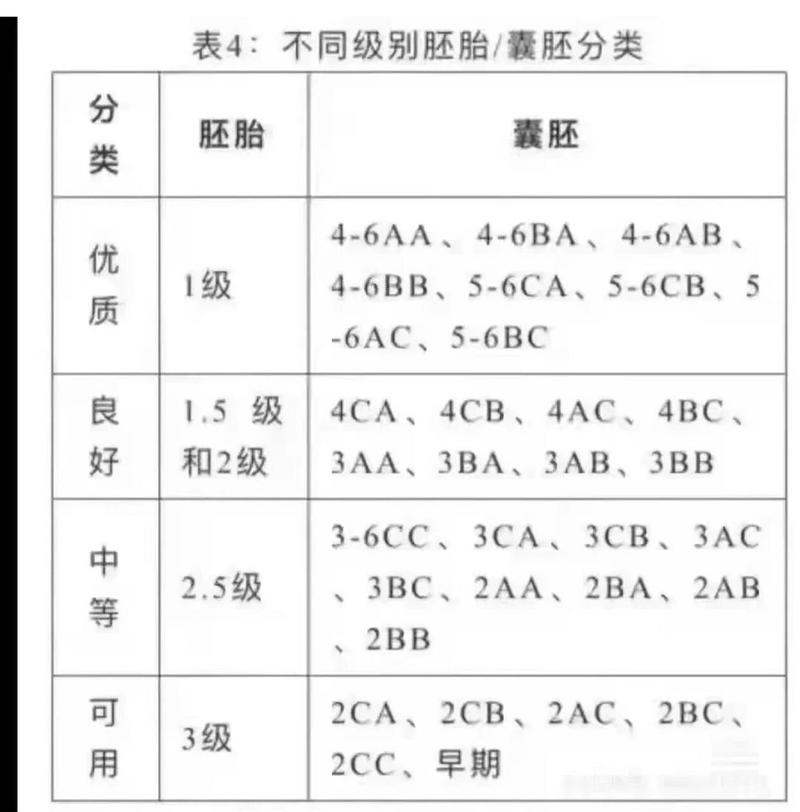 囊胚利用价值