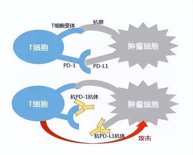 试管免疫治疗