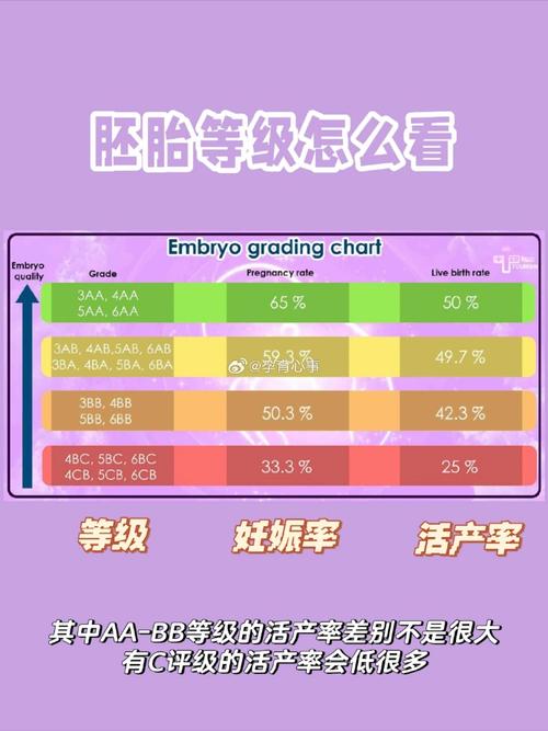  多胎妊娠风险
【描述】：本文探讨了试管婴儿过程中胚胎移植数量的选择问题，分析了影响因素和多胎妊娠风险，提出了理想的胚胎移植数量建议。