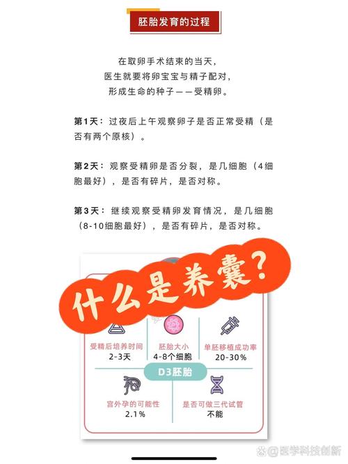 养囊环境