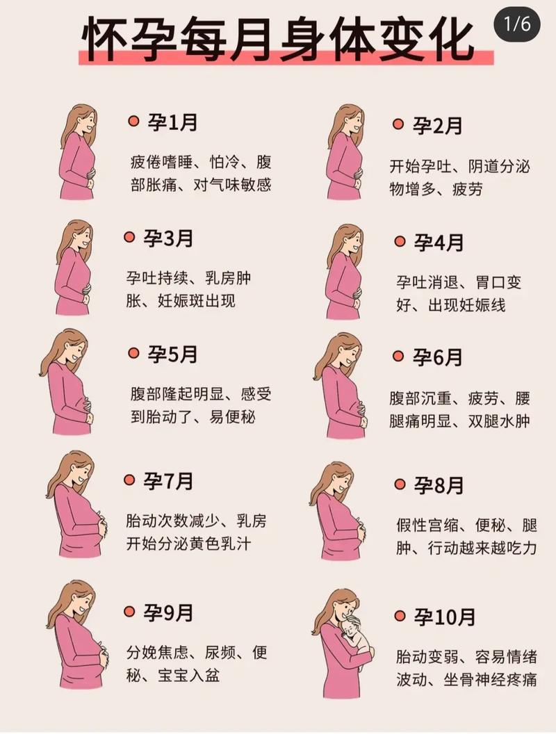 怀孕期