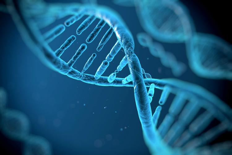  分子生物学