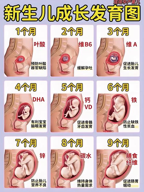 怀孕潜能