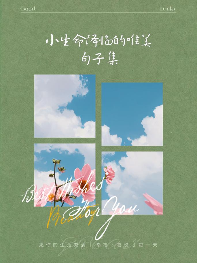 生命初响