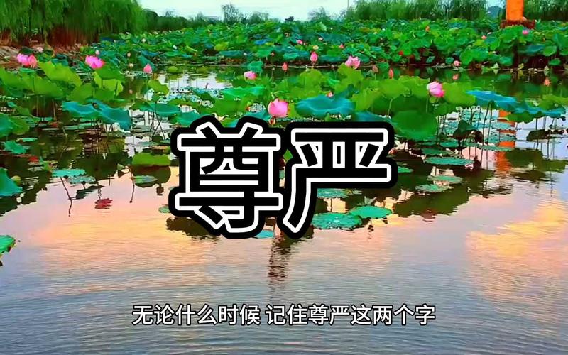 尊严