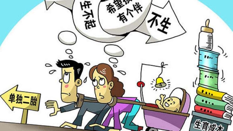 生育冲突