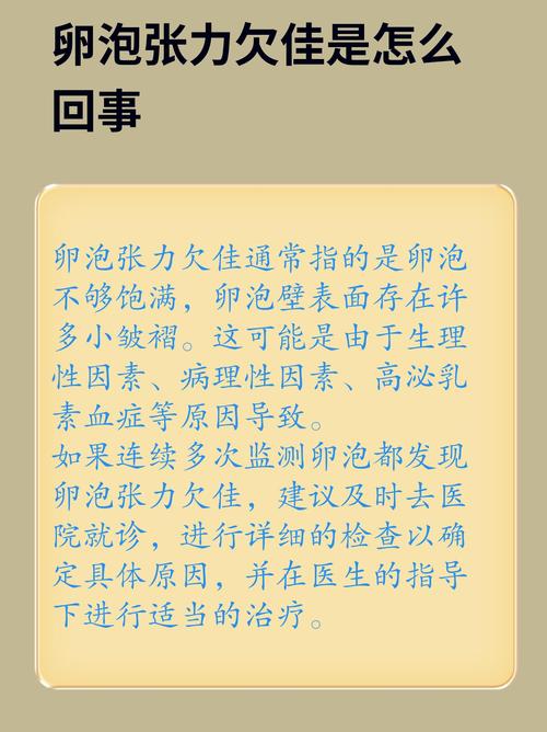 寻找卵泡