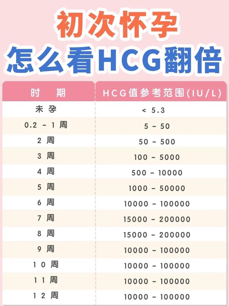 HCG 数值解读