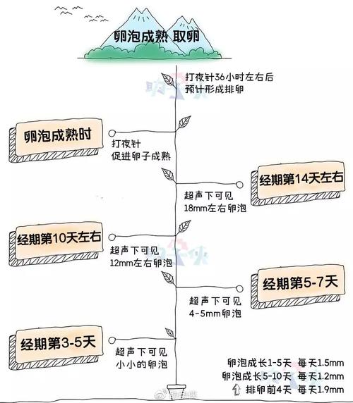 促排卵流程