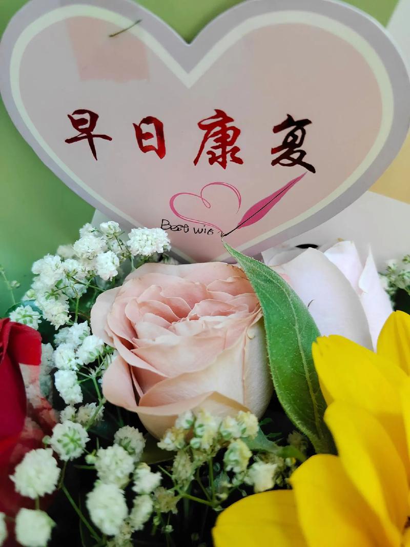 健康恢复