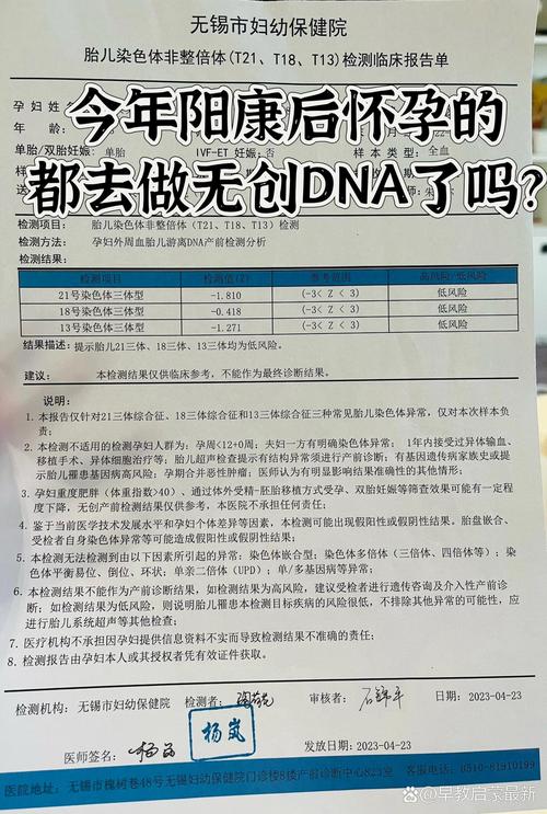 应对策略
描述: 本文详细阐述了试管婴儿无创DNA检测失败的原因，如样本质量、胎儿游离DNA浓度等问题，同时给出了重新检测、选择其他检测方法等应对策略，为准爸妈提供了实用参考。