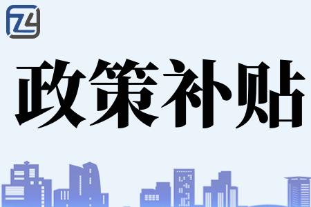  政府补贴